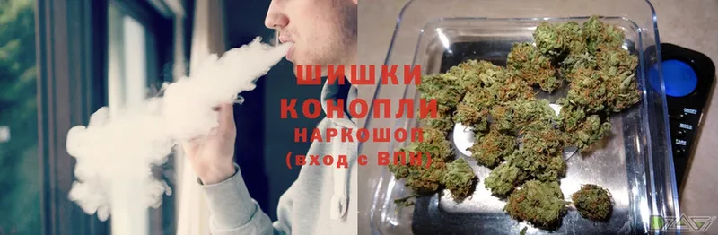 продажа наркотиков  Кириллов  Бошки Шишки White Widow 